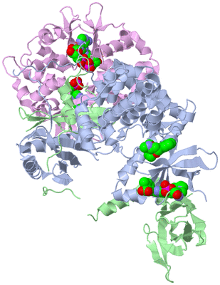 Image Biological Unit 1