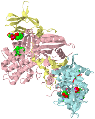 Image Biological Unit 2