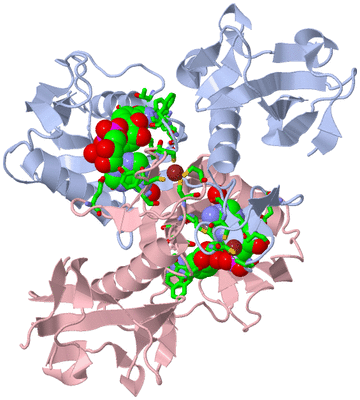 Image Asym./Biol. Unit - sites