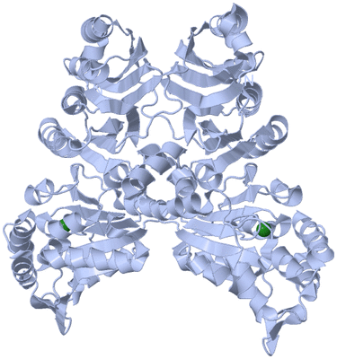 Image Biological Unit 1