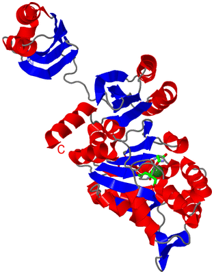 Image Asym. Unit - sites