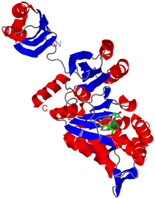 Image Asym. Unit - sites