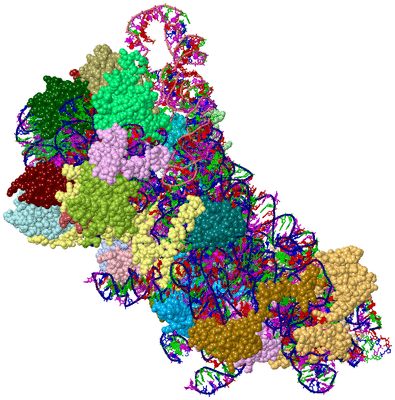 Image Asym./Biol. Unit