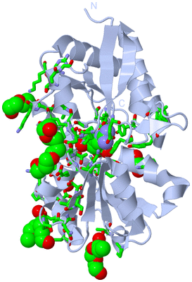 Image Biol. Unit 1 - sites