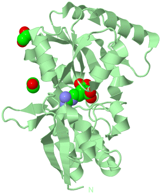 Image Biological Unit 2