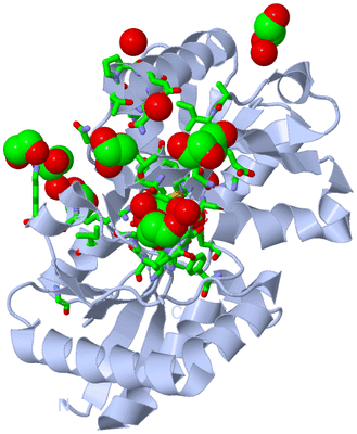 Image Biol. Unit 1 - sites