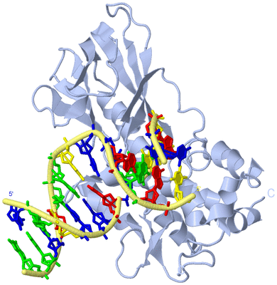 Image Biological Unit 1