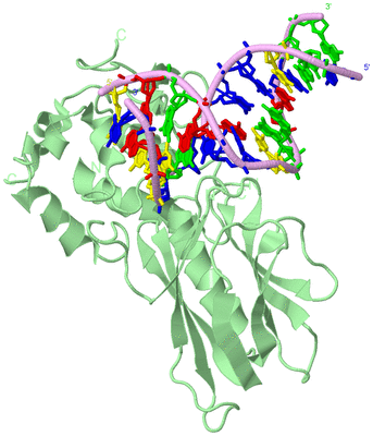 Image Biological Unit 2