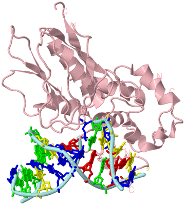 Image Biological Unit 3