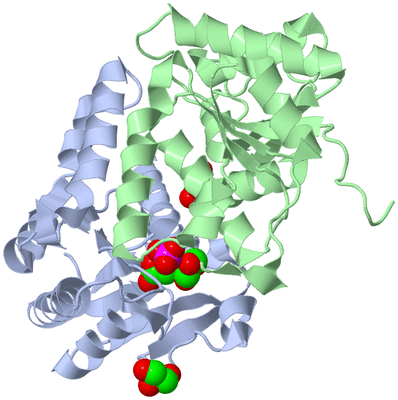 Image Biological Unit 1