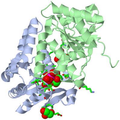 Image Biol. Unit 1 - sites