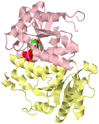 Image Biological Unit 2