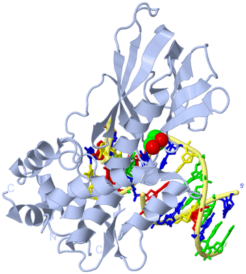 Image Biological Unit 1