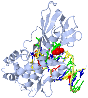 Image Biol. Unit 1 - sites