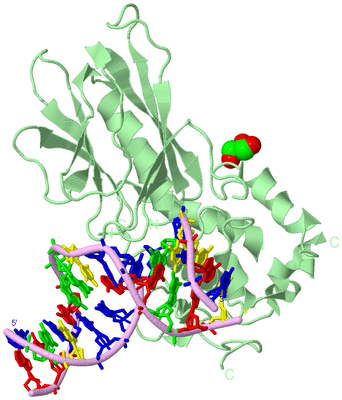 Image Biological Unit 2