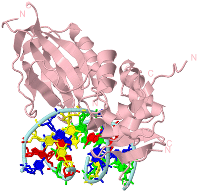 Image Biological Unit 3