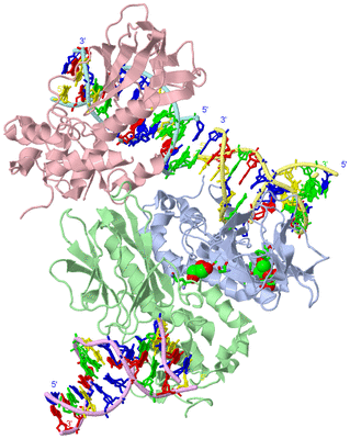 Image Asym. Unit - sites