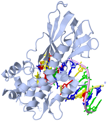 Image Biological Unit 1