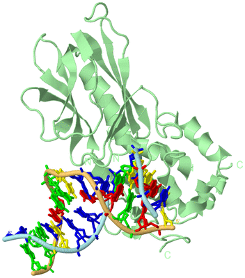 Image Biological Unit 2