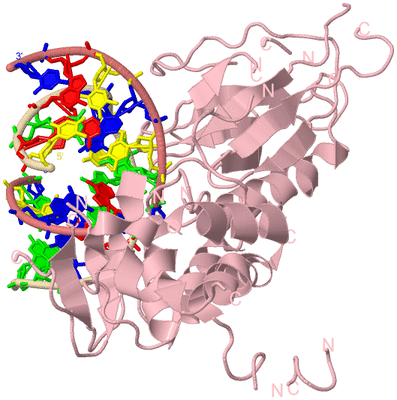 Image Biological Unit 3