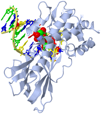 Image Biological Unit 1