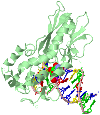 Image Biological Unit 2