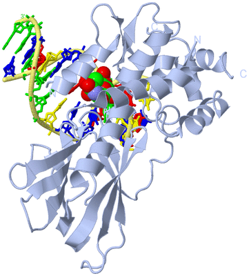 Image Biological Unit 1