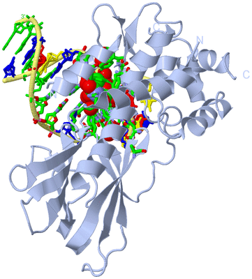 Image Biol. Unit 1 - sites