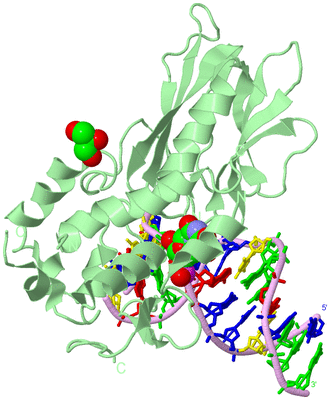 Image Biological Unit 2