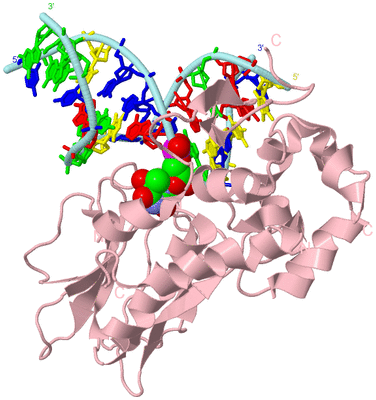 Image Biological Unit 3