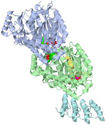 Image Asym./Biol. Unit