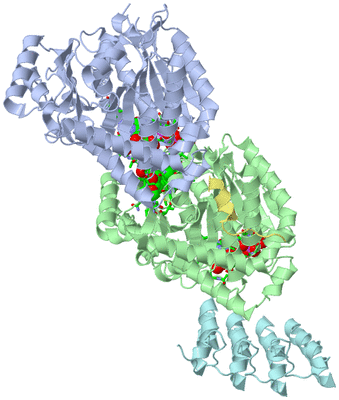 Image Asym./Biol. Unit - sites