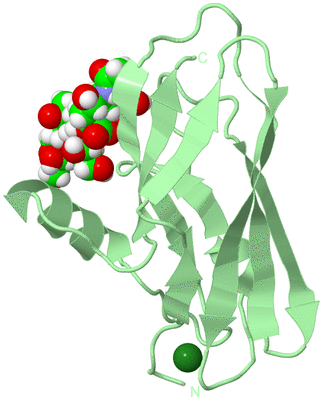 Image Biological Unit 2