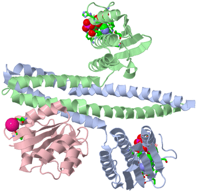 Image Biol. Unit 1 - sites