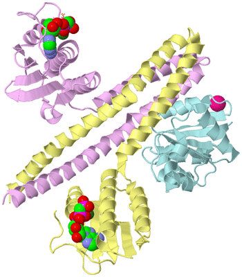 Image Biological Unit 2