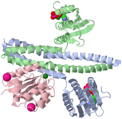 Image Biological Unit 1