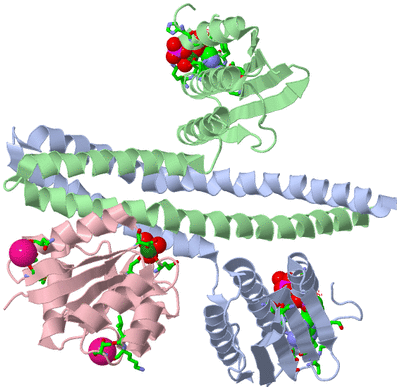 Image Biol. Unit 1 - sites