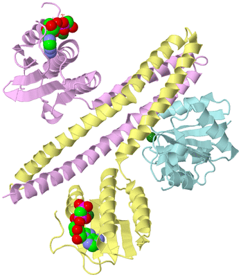 Image Biological Unit 2