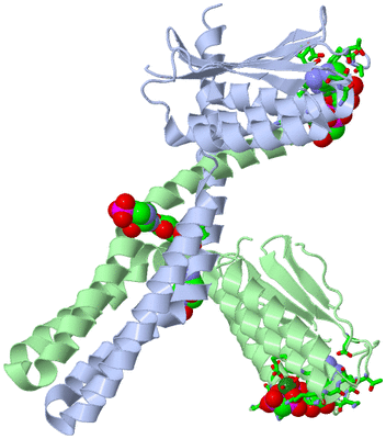 Image Asym./Biol. Unit - sites