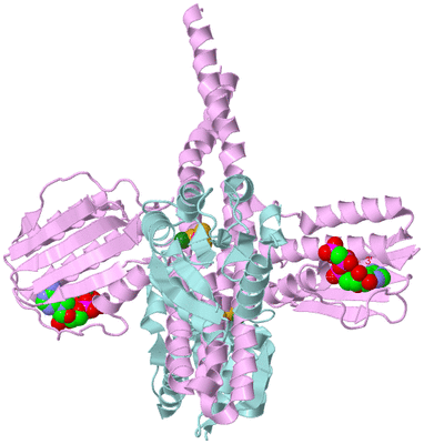 Image Biological Unit 2