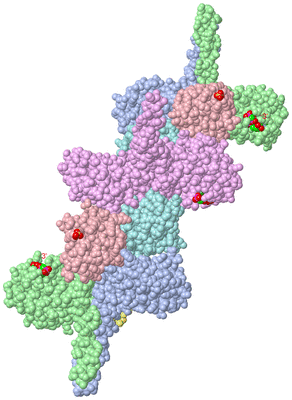 Image Biological Unit 3