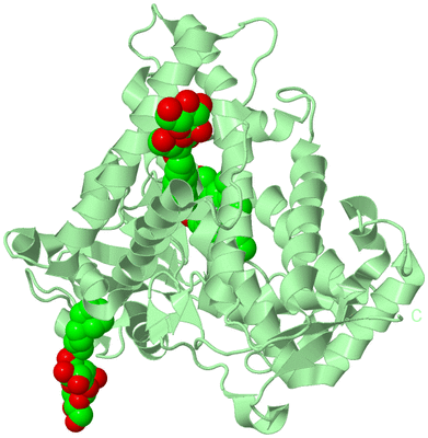 Image Biological Unit 2