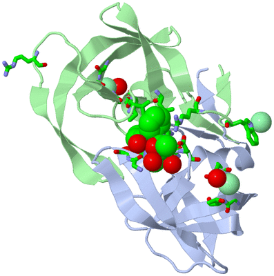 Image Asym./Biol. Unit - sites