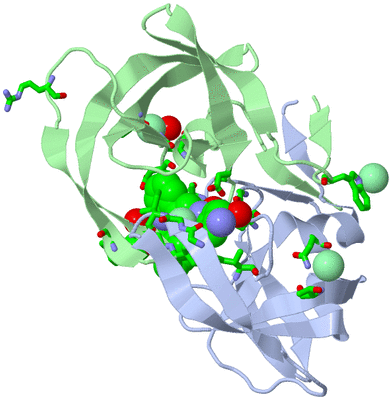 Image Asym./Biol. Unit - sites