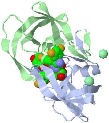 Image Asym./Biol. Unit