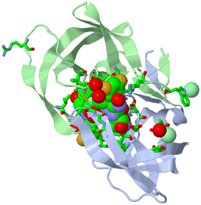 Image Asym./Biol. Unit - sites