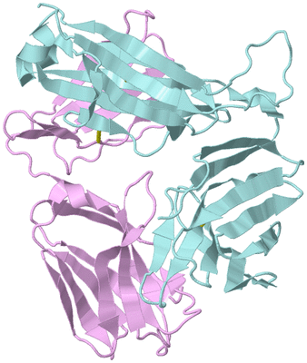 Image Biological Unit 3