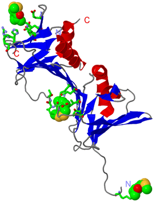 Image Asym. Unit - sites