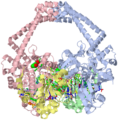 Image Asym./Biol. Unit - sites