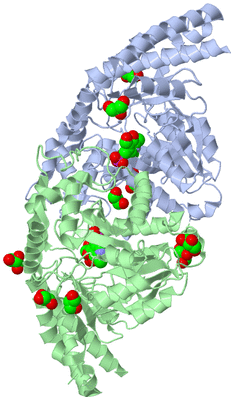 Image Asym./Biol. Unit